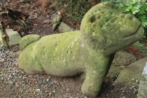 阿久津「田村神社」（郡山市阿久津町）旧社名：伊豆箱根三嶋三社の狛犬