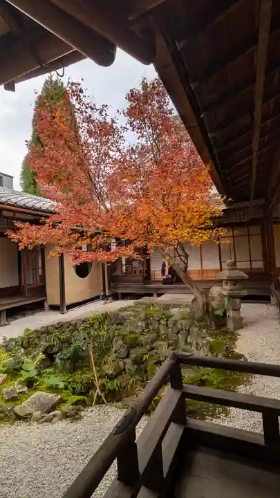 興聖寺(京都府)