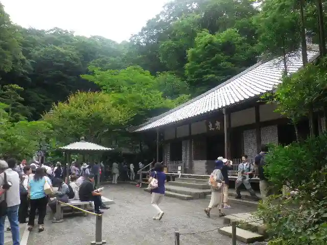 明月院の本殿・本堂