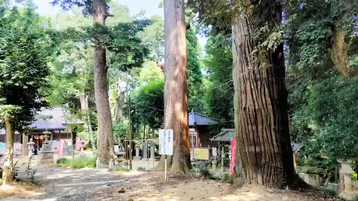 日吉神社(千葉県)