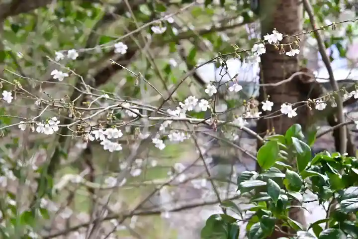 旦飯野神社(新潟県)