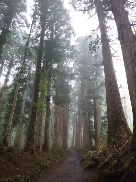 戸隠神社九頭龍社(長野県)
