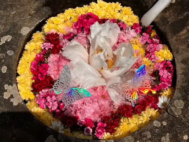 真言宗 善通寺派 薬王寺(香川県)