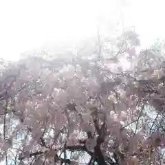 篠ｹ谷神社(岐阜県)