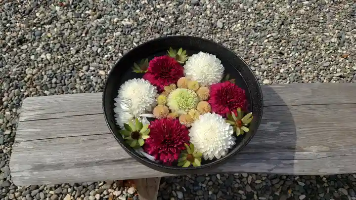 函館八幡宮の手水舎