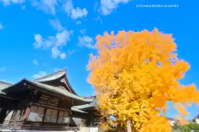 葛飾八幡宮(千葉県)