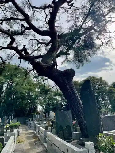 泉龍寺(東京都)