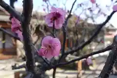 菅原天満宮（菅原神社）の自然