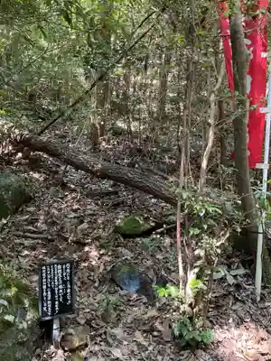 不動明王堂（不動明王の滝）の自然