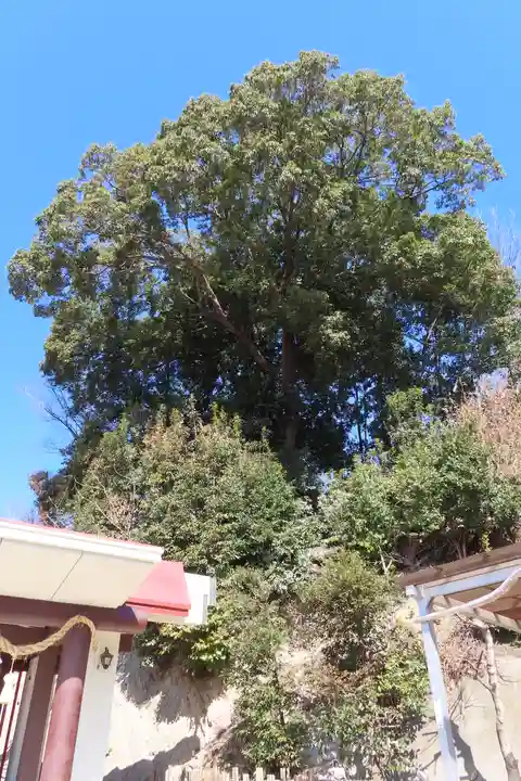 照日神社の自然
