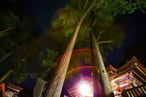 三峯神社(埼玉県)