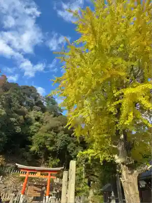 柏原八幡宮(兵庫県)