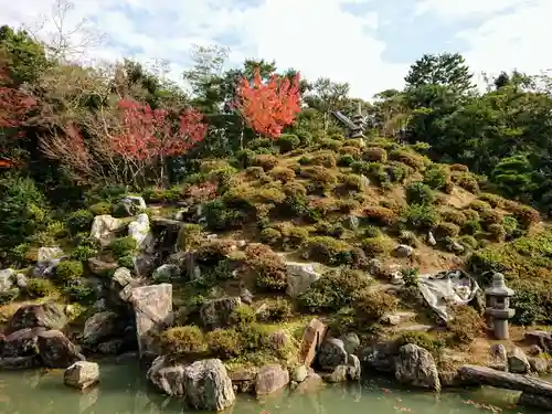 根来寺 智積院の庭園