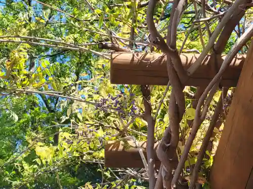 日招八幡大神社(愛媛県)