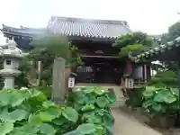 要法寺の本殿・本堂