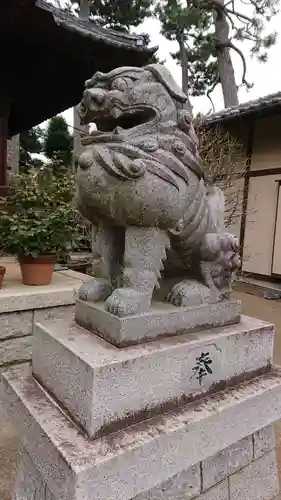 東玉川神社の狛犬