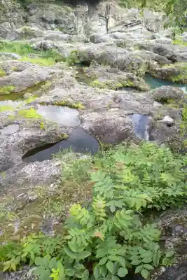 赤池龍神辯財天(岐阜県)
