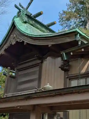 高円寺天祖神社(東京都)