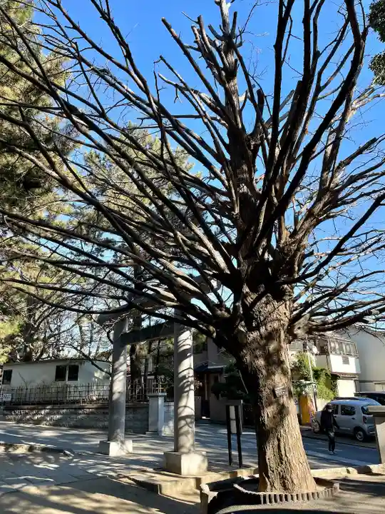 意富比神社(千葉県)