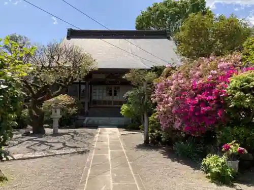 妙覚寺の本殿・本堂