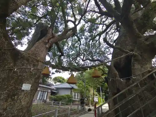 山王神社(長崎県)