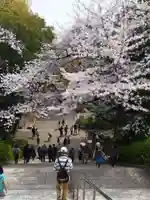 豊國神社の自然