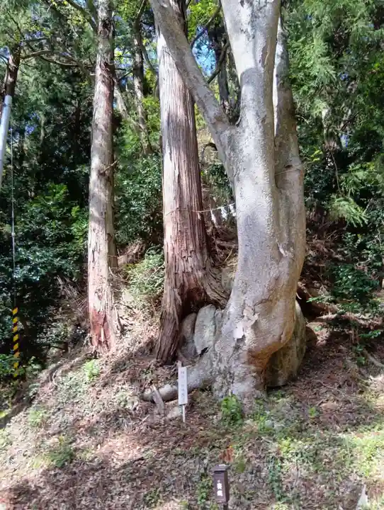 木幡山隠津島神社(二本松市)(福島県)