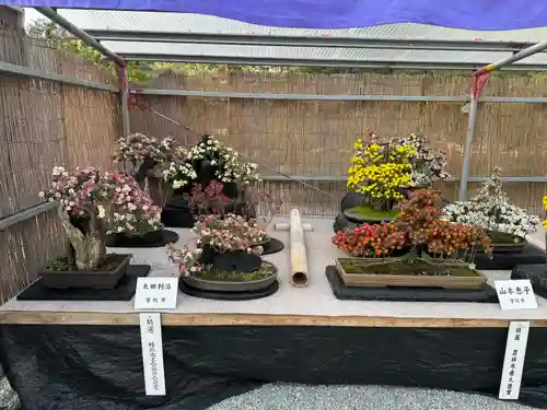 橿原神宮(奈良県)