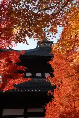 東福禅寺(東福寺)(京都府)