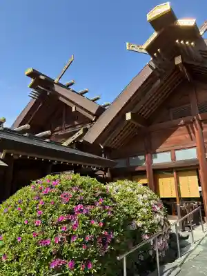 櫻木神社(千葉県)
