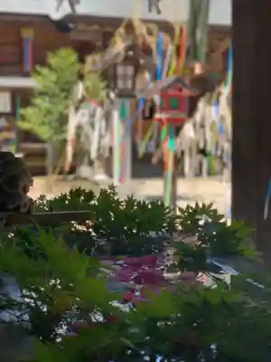 滑川神社 - 仕事と子どもの守り神の手水舎