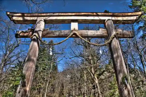 戸隠神社奥社の鳥居