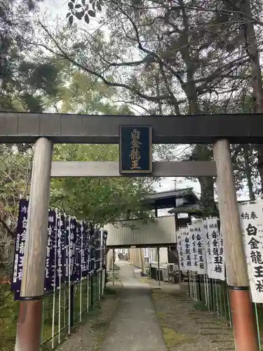 白金龍王社(愛知県)