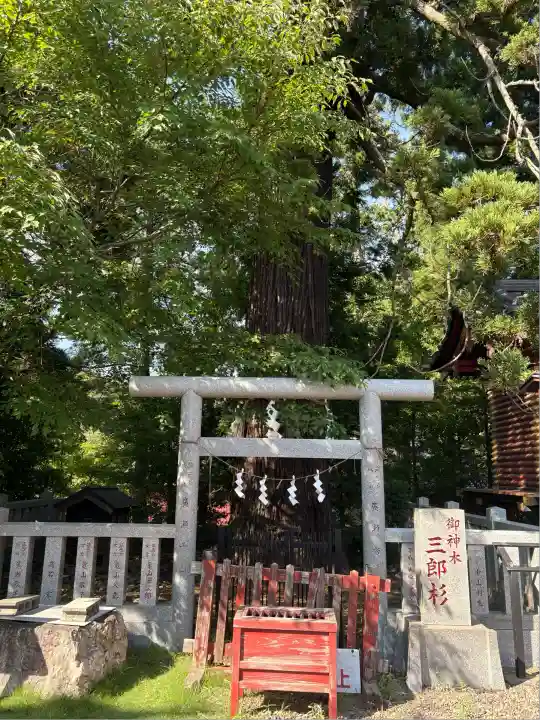 大杉神社(茨城県)