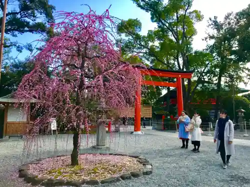 城南宮の鳥居