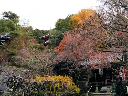 今熊野観音寺の自然