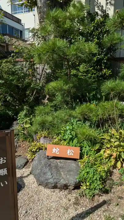 蛇窪神社(東京都)