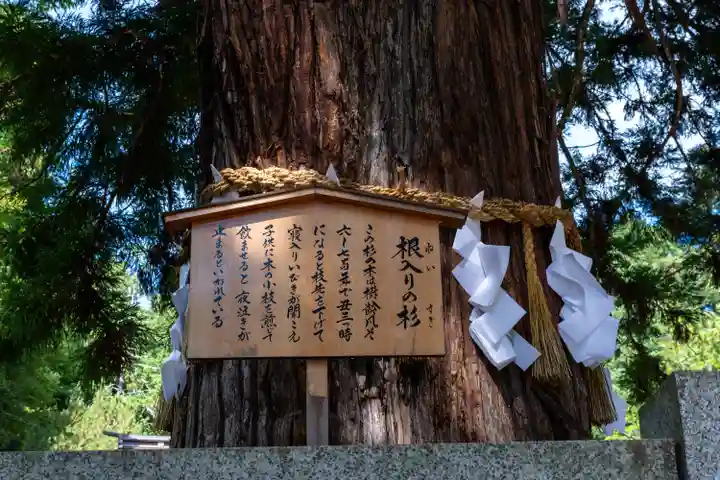 諏訪大社下社秋宮(長野県)