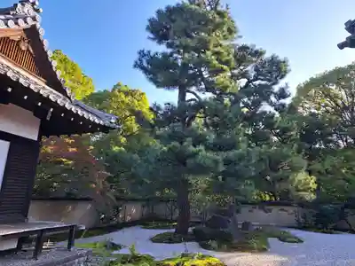 廬山寺(廬山天台講寺)(京都府)