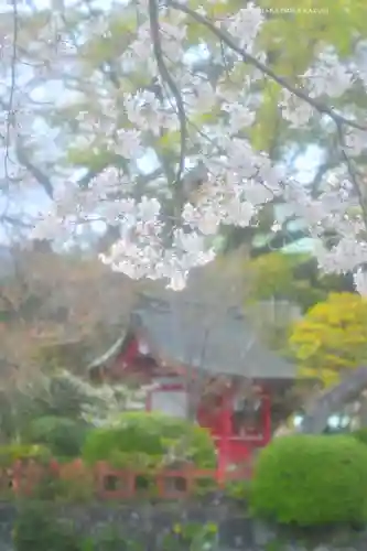 三嶋大社(静岡県)