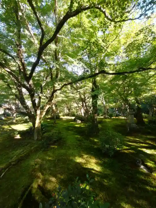 圓光寺の{uncategorized: "未分類", other: "その他", undefined: "問題あり", building: "その他建物", grave: "お墓", sacred_gate: "鳥居", guardian: "狛犬", statue: "像", buddha: "仏像", history: "歴史", nature: "自然", garden: "庭園", animal: "動物", pagoda: "塔", temizu: "手水舎", mountain_gate: "山門・神門", sanctuary: "本殿・本堂", subordinate: "末社・摂社", art: "芸術", scenery: "景色", jizo: "地蔵", ema: "絵馬", goshuin: "御朱印", omikuji: "おみくじ", items: "授与品その他", amulet: "お守り", goshuincho: "御朱印帳", eats: "食事", festival: "お祭り", votive_dance: "神楽", shichigosan: "七五三参", wedding: "結婚式", experience: "体験その他", initially: "初詣", around: "周辺", anti_infection: "感染症対策"}
