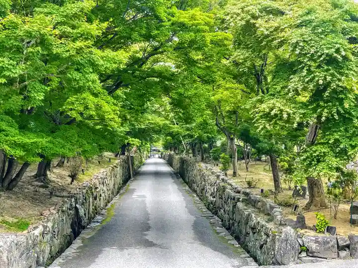 興聖寺(興聖寶林禅寺)(京都府)