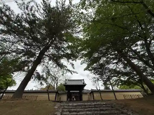 東大寺戒壇院戒壇堂の{uncategorized: "未分類", other: "その他", undefined: "問題あり", building: "その他建物", grave: "お墓", sacred_gate: "鳥居", guardian: "狛犬", statue: "像", buddha: "仏像", history: "歴史", nature: "自然", garden: "庭園", animal: "動物", pagoda: "塔", temizu: "手水舎", mountain_gate: "山門・神門", sanctuary: "本殿・本堂", subordinate: "末社・摂社", art: "芸術", scenery: "景色", jizo: "地蔵", ema: "絵馬", goshuin: "御朱印", omikuji: "おみくじ", items: "授与品その他", amulet: "お守り", goshuincho: "御朱印帳", eats: "食事", festival: "お祭り", votive_dance: "神楽", shichigosan: "七五三参", wedding: "結婚式", experience: "体験その他", initially: "初詣", around: "周辺", anti_infection: "感染症対策"}
