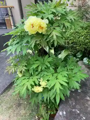 仏行寺（佛行寺）(神奈川県)