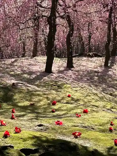 城南宮(京都府)