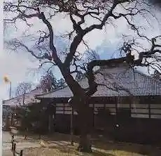 相応寺(福島県)