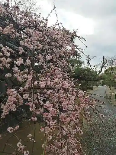 龍光寺(三重県)