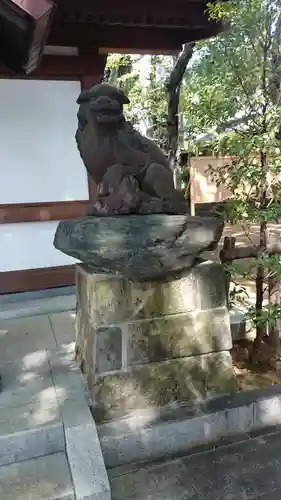 代田八幡神社の狛犬