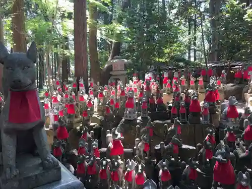 豊川閣　妙厳寺の狛犬