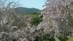 大神神社の自然